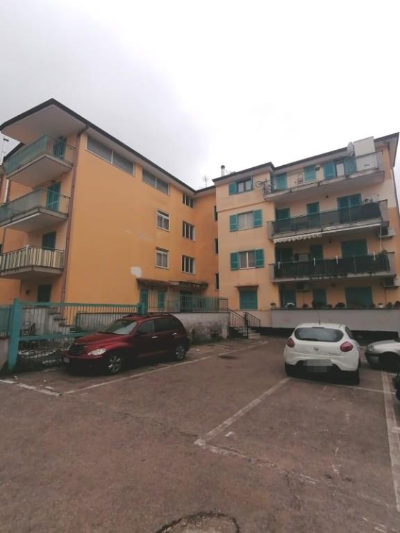 immagine annuncio 5 di 7