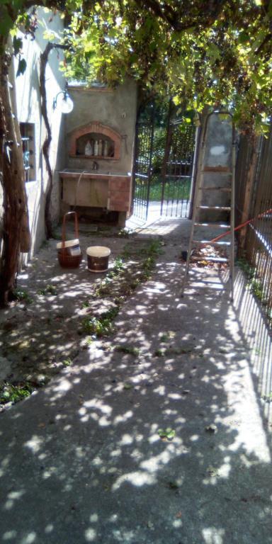 immagine annuncio 1 di 7