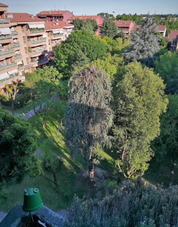 immagine annuncio 6 di 7