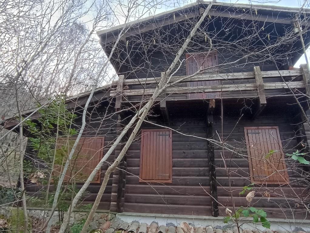 immagine annuncio 1 di 7