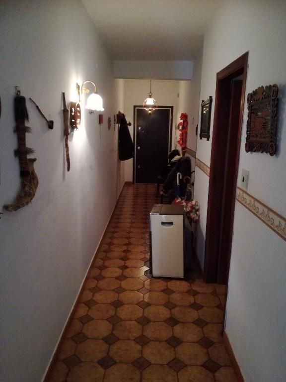 immagine annuncio 2 di 7