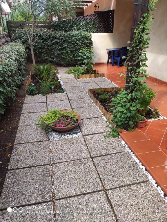 immagine annuncio 3 di 7