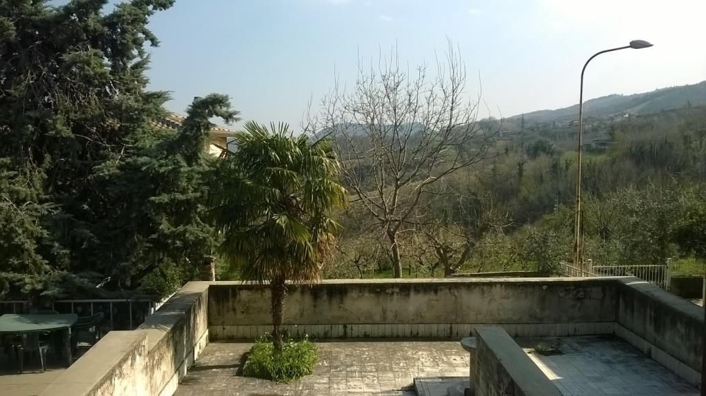 immagine annuncio 4 di 7