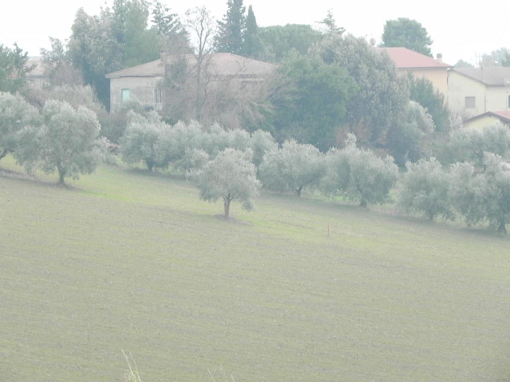 immagine annuncio 5 di 6