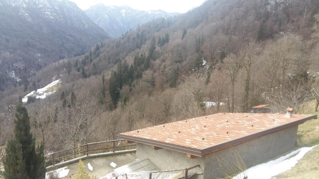 immagine annuncio 2 di 7