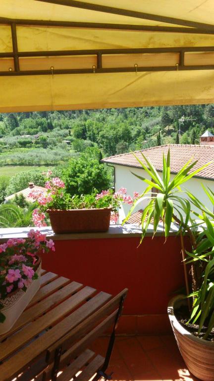 immagine annuncio 2 di 7