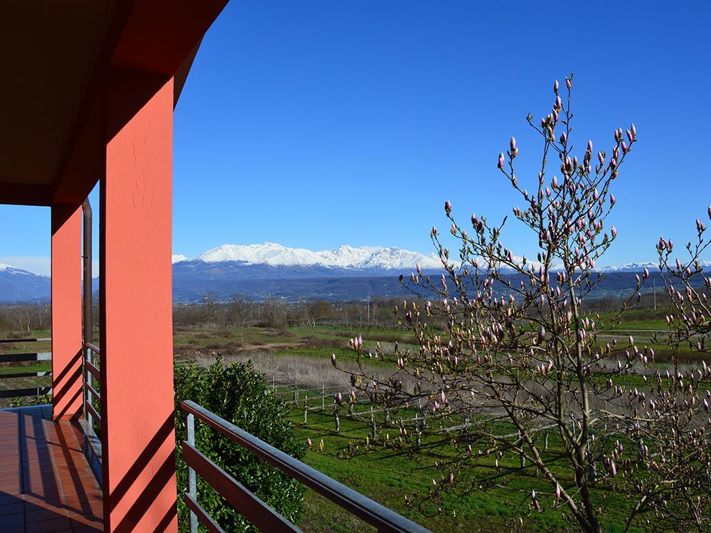 immagine annuncio 4 di 7