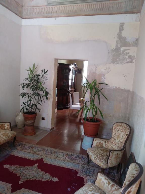 immagine annuncio 3 di 6