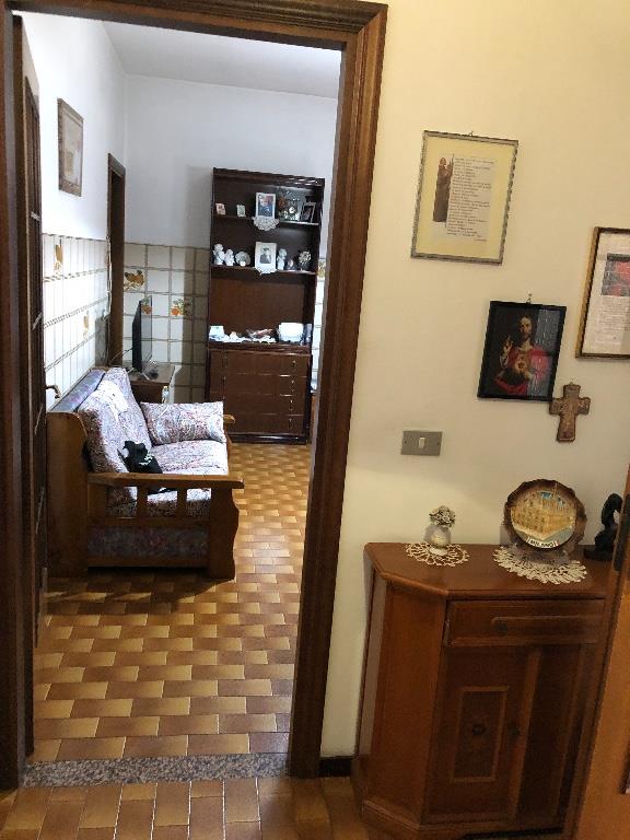 immagine annuncio 4 di 7
