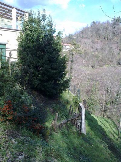 immagine annuncio 4 di 7