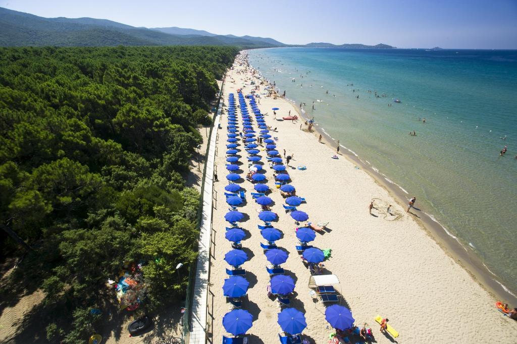 immagine annuncio 3 di 7