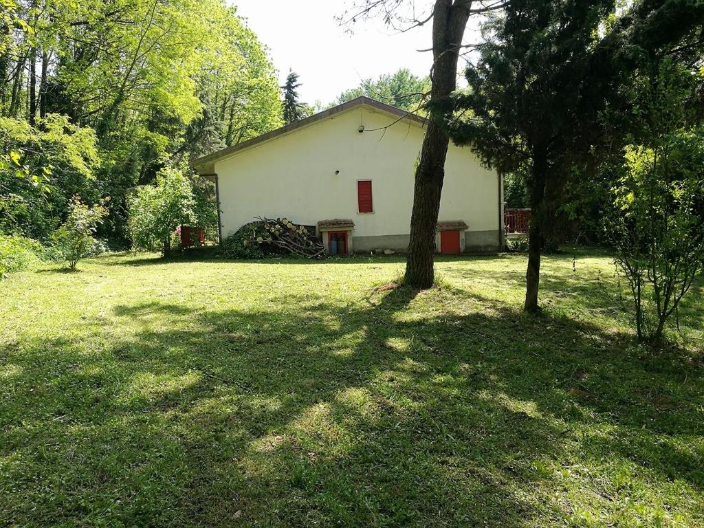 immagine annuncio 6 di 7