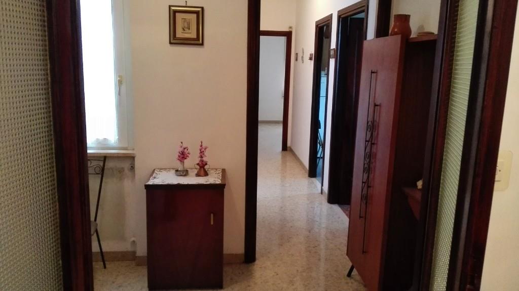 immagine annuncio 2 di 7