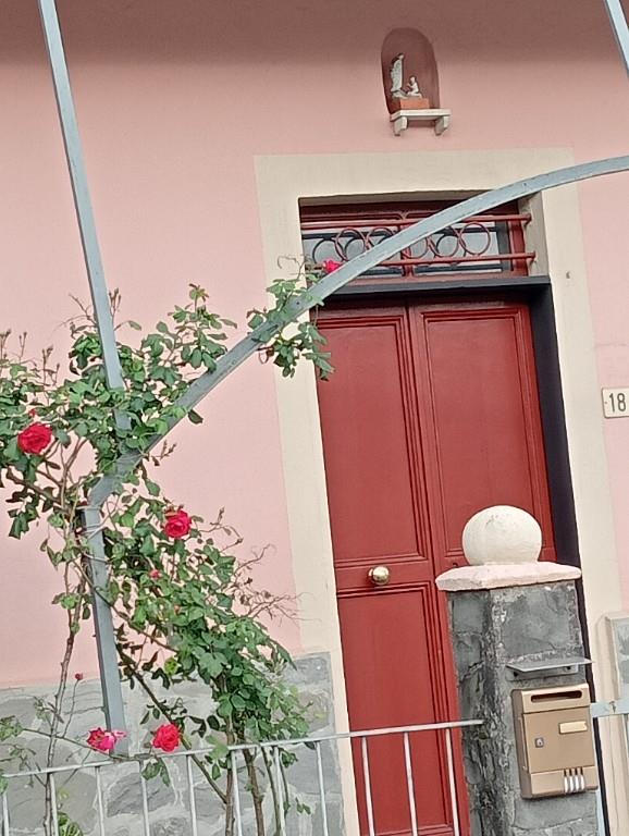 immagine annuncio 2 di 7