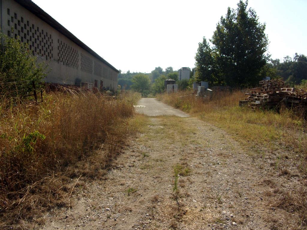 immagine annuncio 3 di 7