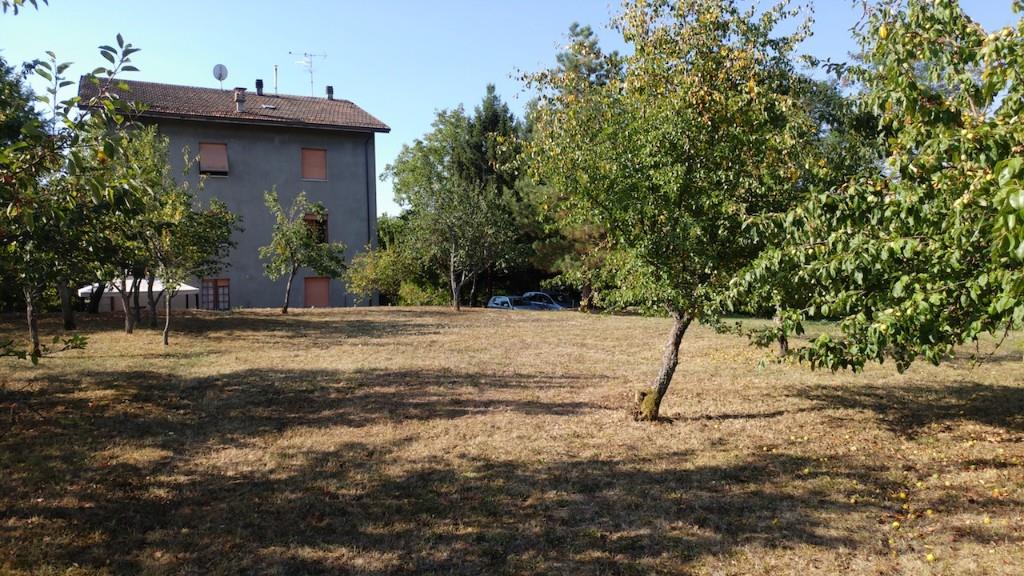 immagine annuncio 1 di 7