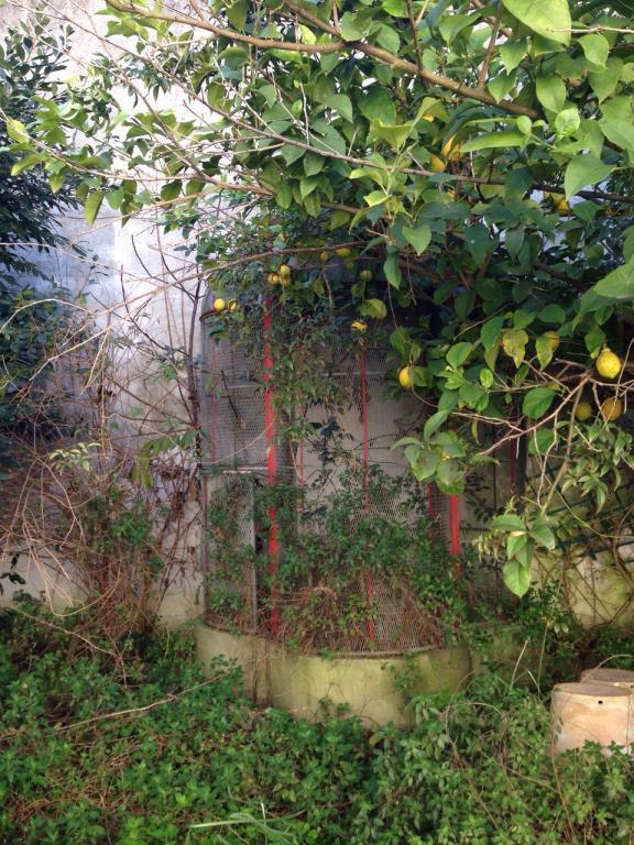 immagine annuncio 4 di 6