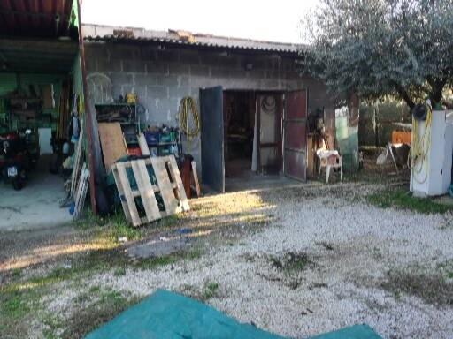 immagine annuncio 3 di 7
