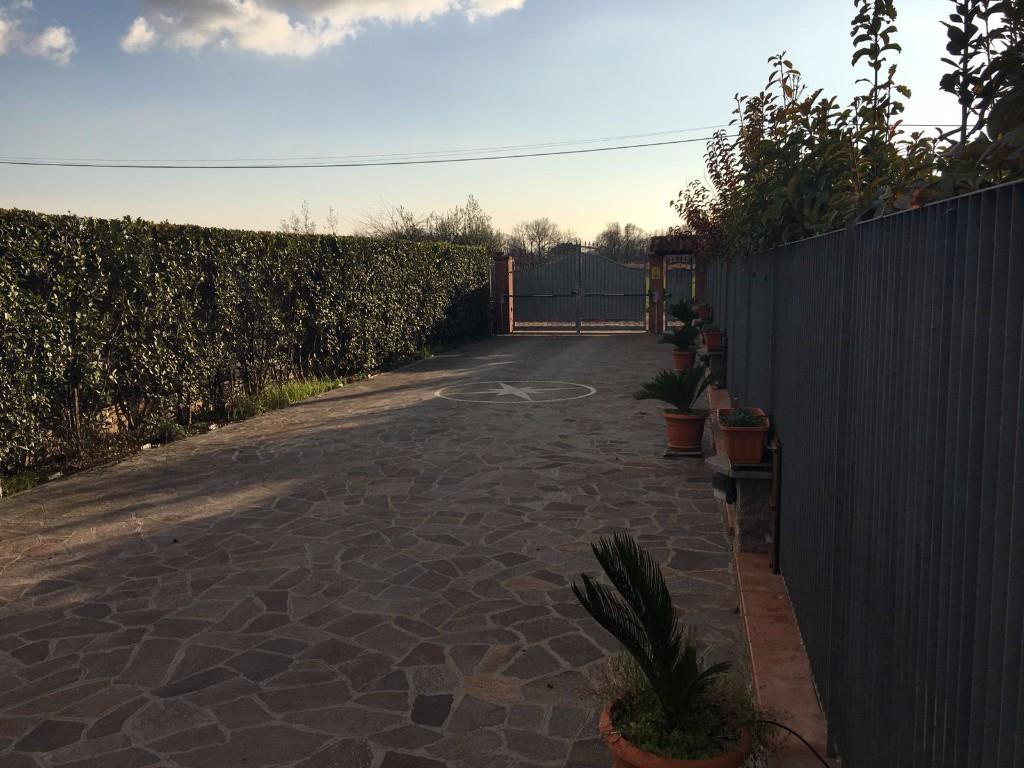 immagine annuncio 5 di 6