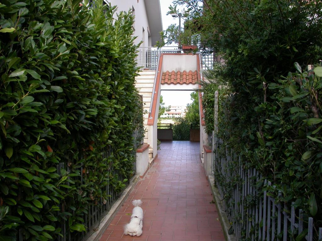 immagine annuncio 5 di 7