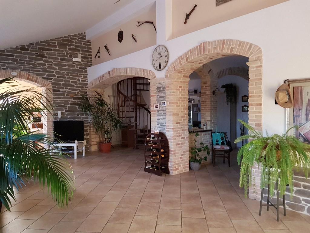 immagine annuncio 5 di 7