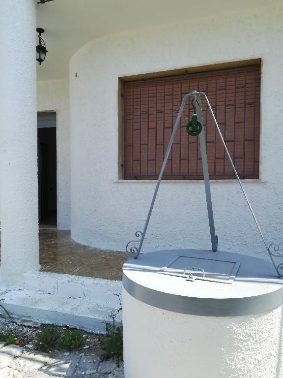 immagine annuncio 4 di 7