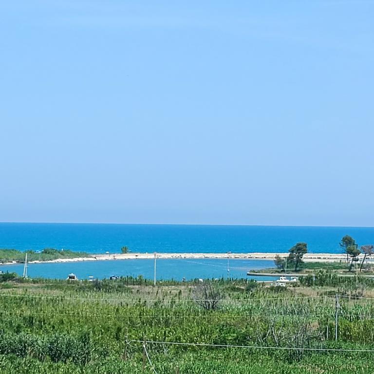 immagine annuncio 6 di 7