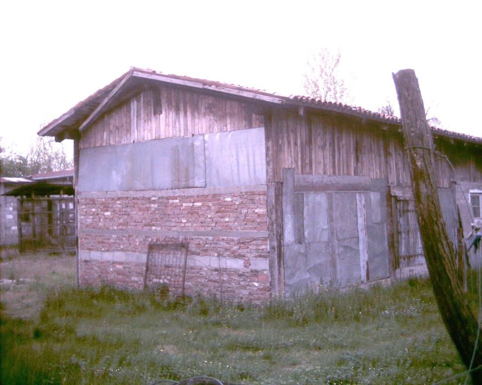 immagine annuncio 3 di 7