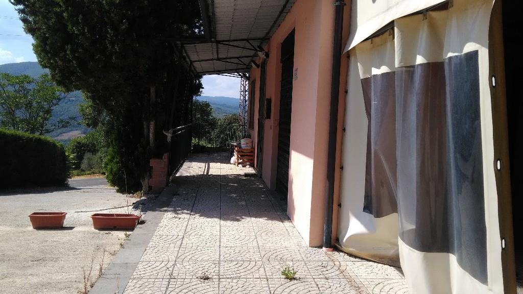 immagine annuncio 2 di 7