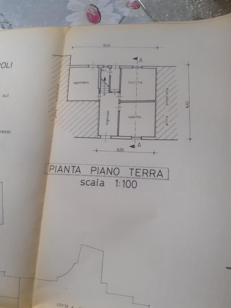 immagine annuncio 2 di 7