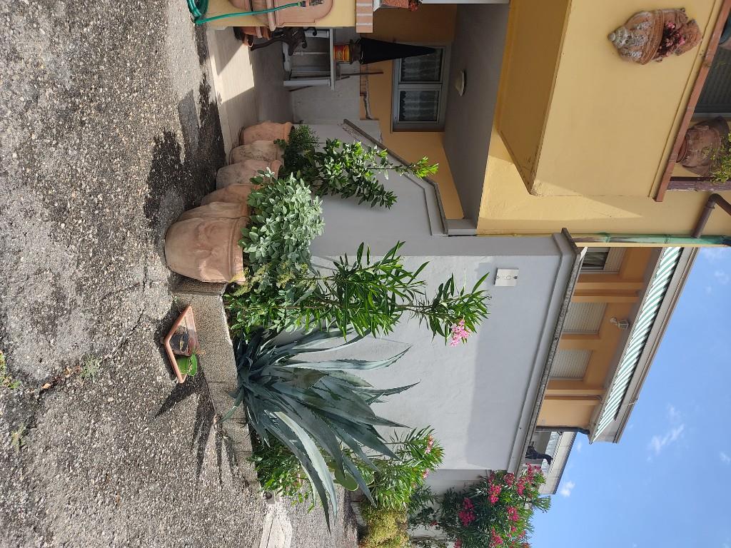 immagine annuncio 2 di 7