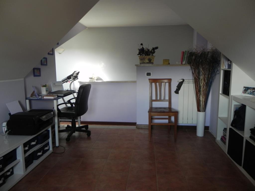 immagine annuncio 5 di 7