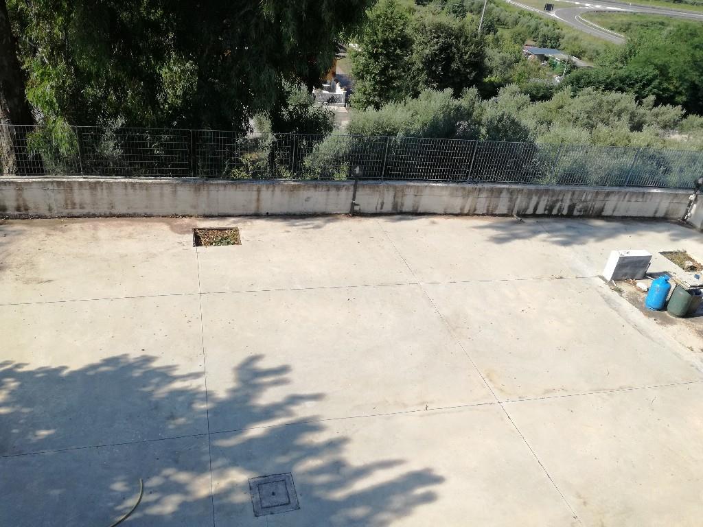 immagine annuncio 2 di 7