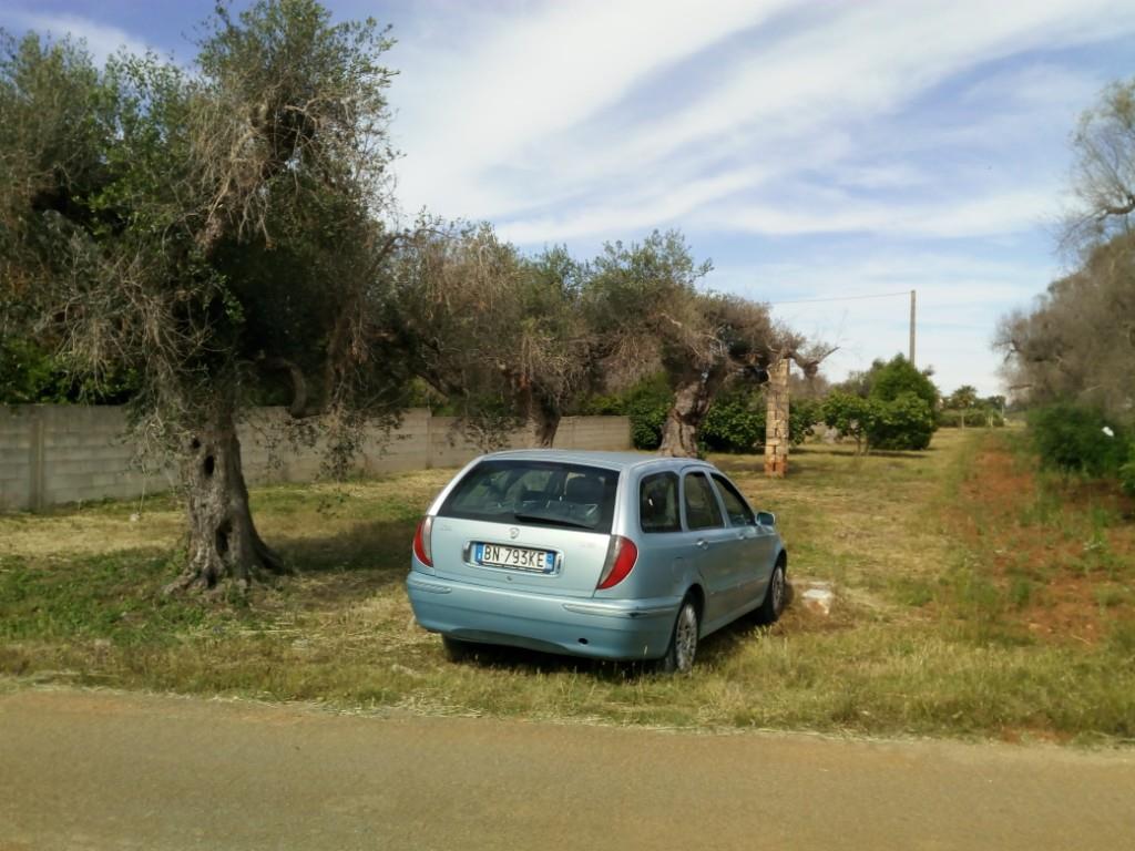 immagine annuncio 2 di 3