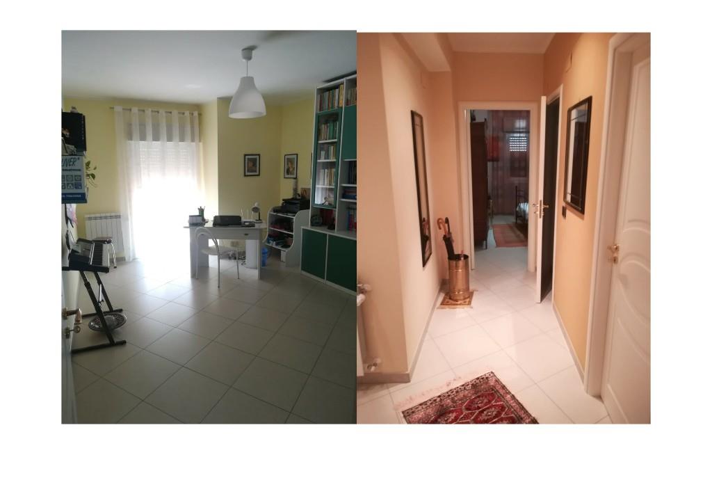 immagine annuncio 3 di 7