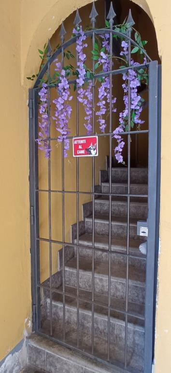 immagine annuncio 5 di 7