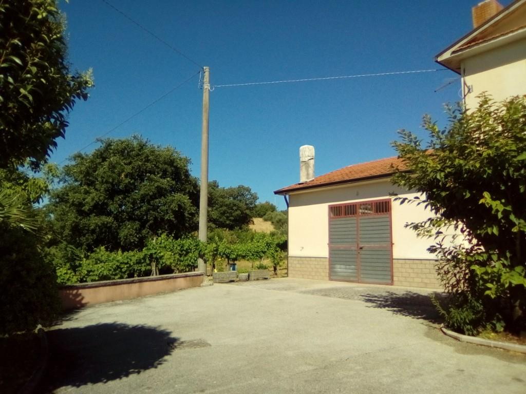 immagine annuncio 2 di 7