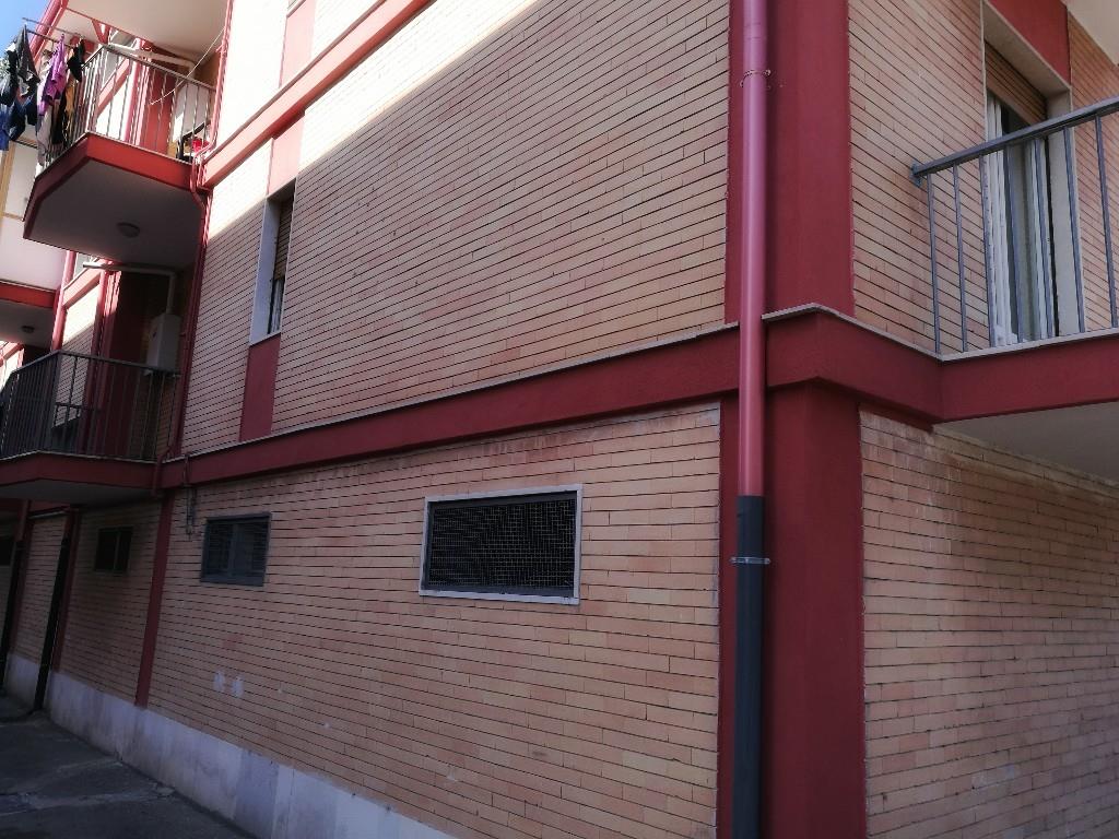 immagine annuncio 3 di 7