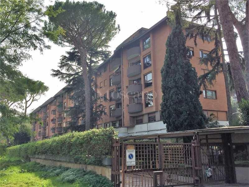 immagine annuncio 1 di 6