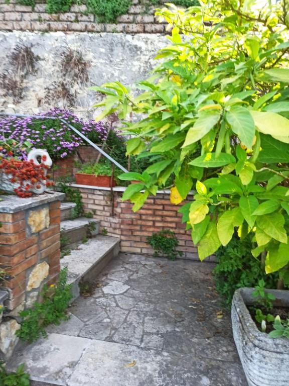 immagine annuncio 1 di 7