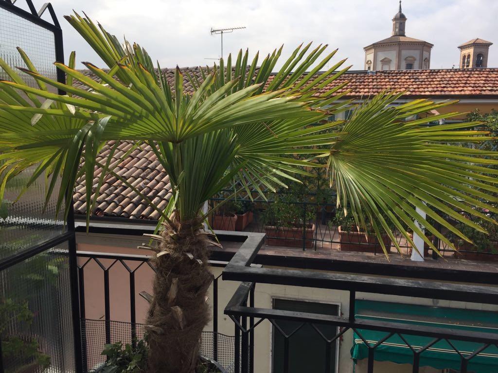 immagine annuncio 4 di 7