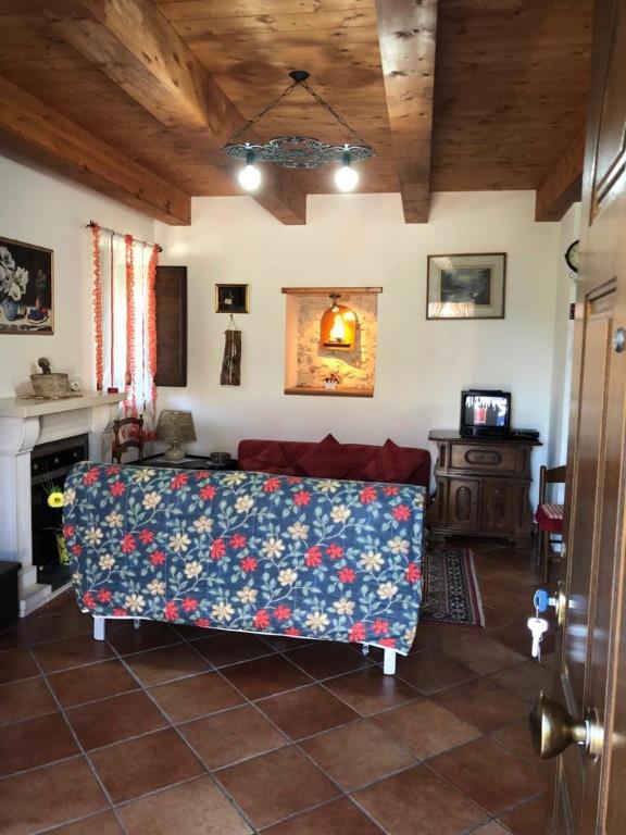 immagine annuncio 4 di 7