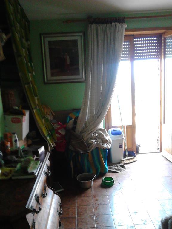 immagine annuncio 4 di 7