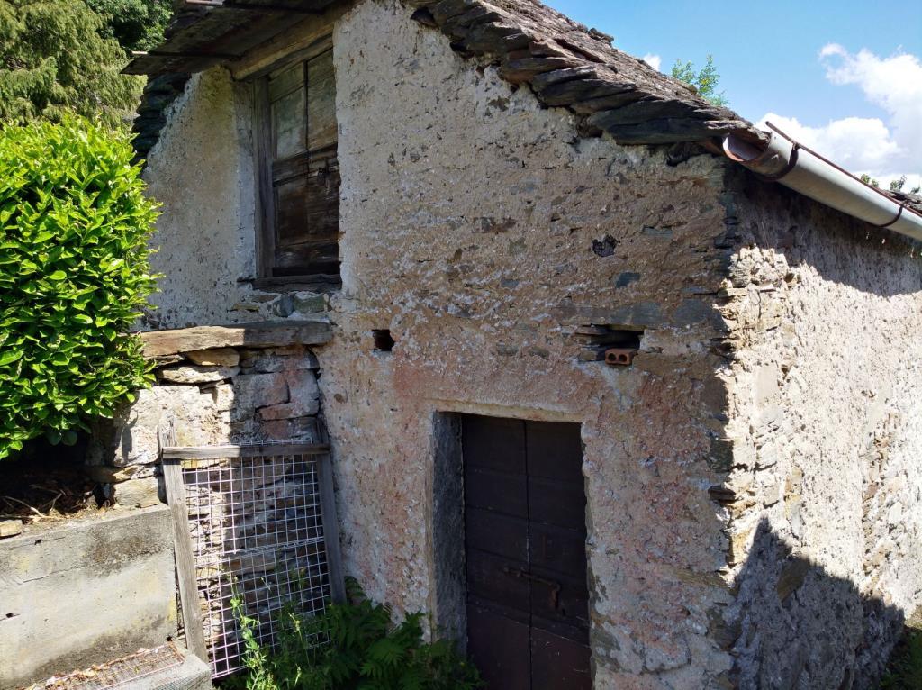 immagine annuncio 3 di 7