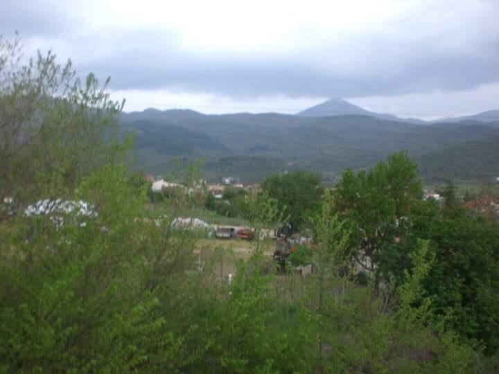 immagine annuncio 3 di 6