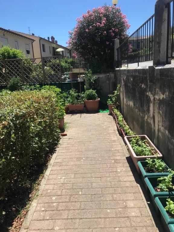 immagine annuncio 4 di 7