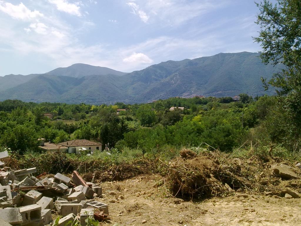 immagine annuncio 2 di 7