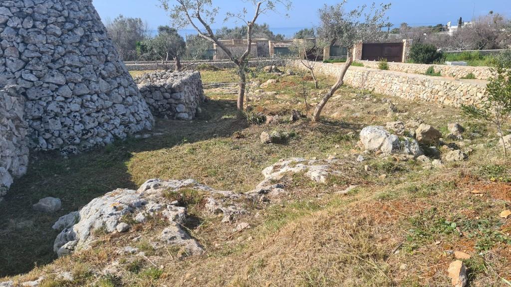 immagine annuncio 5 di 7