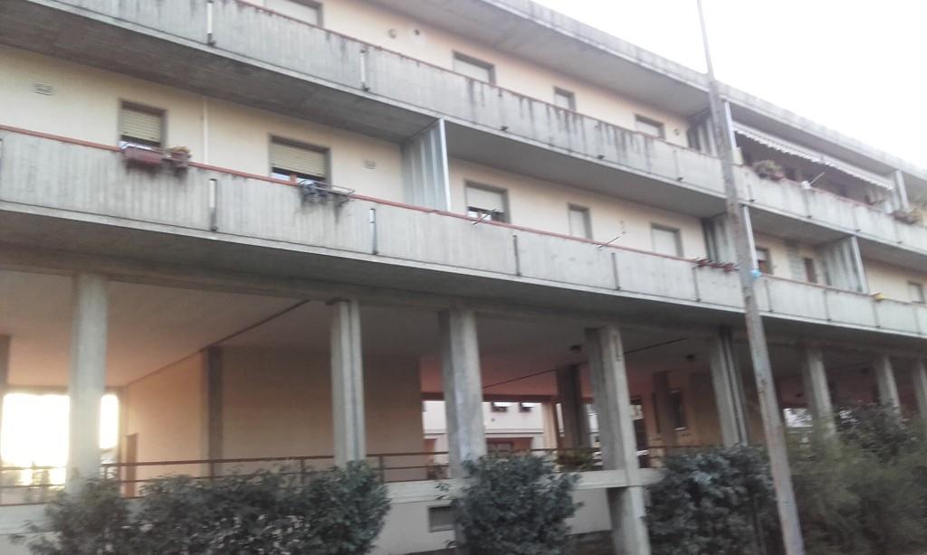 immagine annuncio 1 di 7