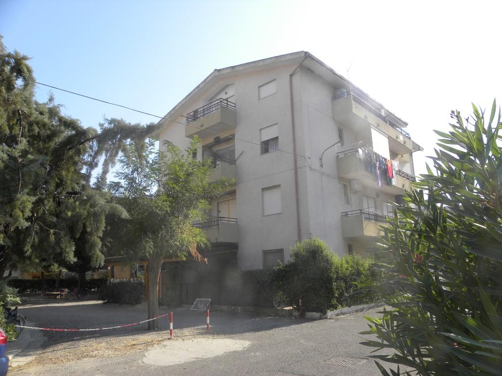 immagine annuncio 6 di 7